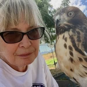 Meet your Posher, Sherry